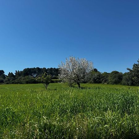 Trulli Del Sole Villa Martina Franca Ngoại thất bức ảnh