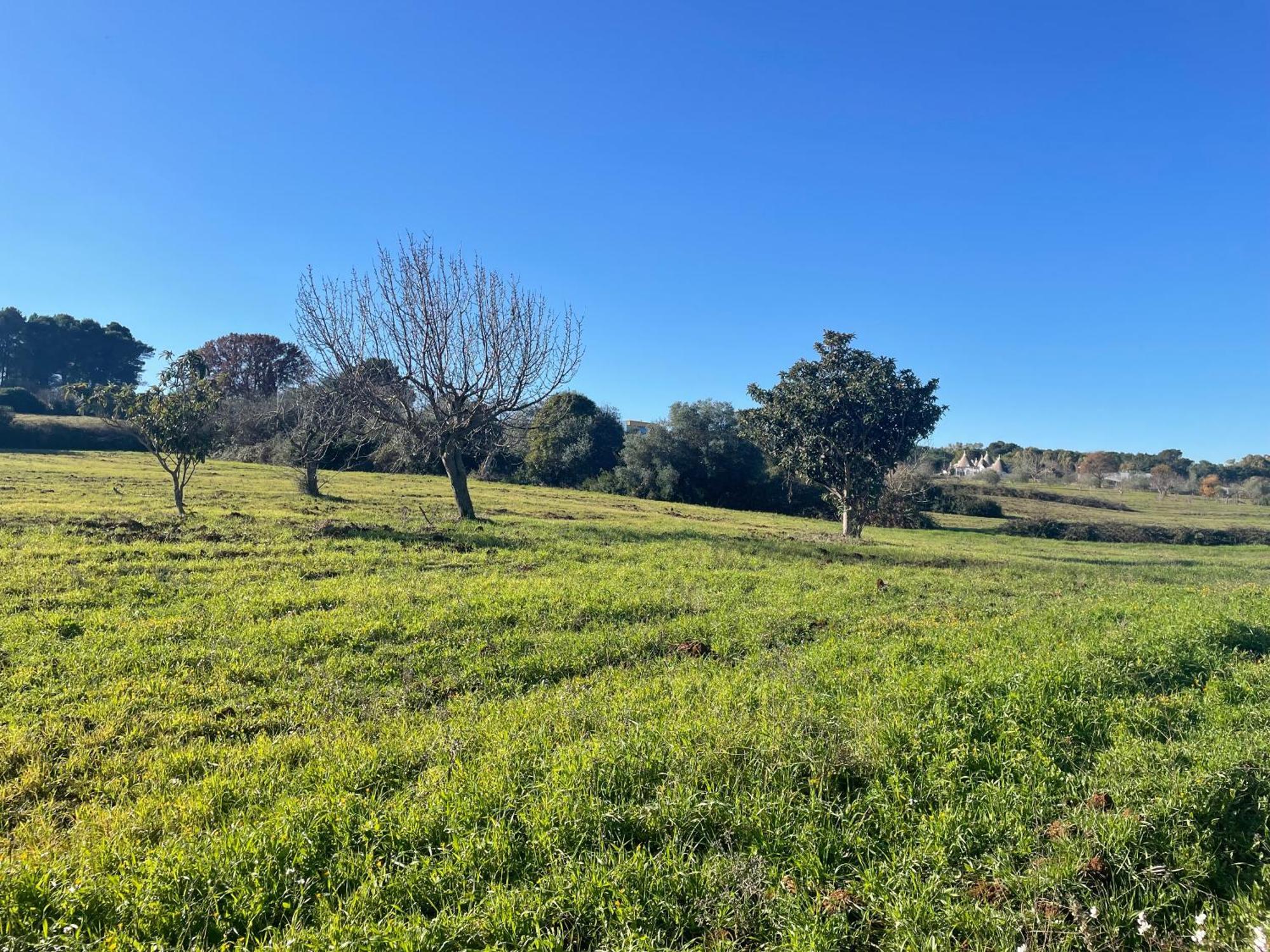 Trulli Del Sole Villa Martina Franca Ngoại thất bức ảnh