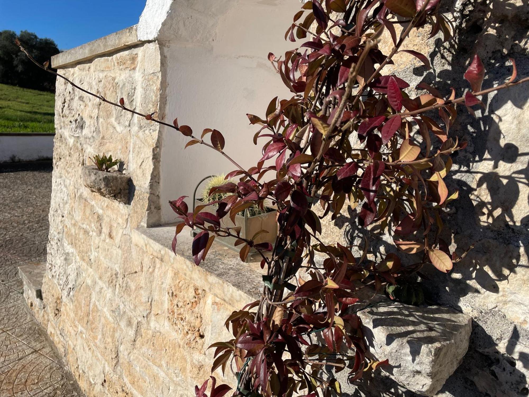 Trulli Del Sole Villa Martina Franca Ngoại thất bức ảnh