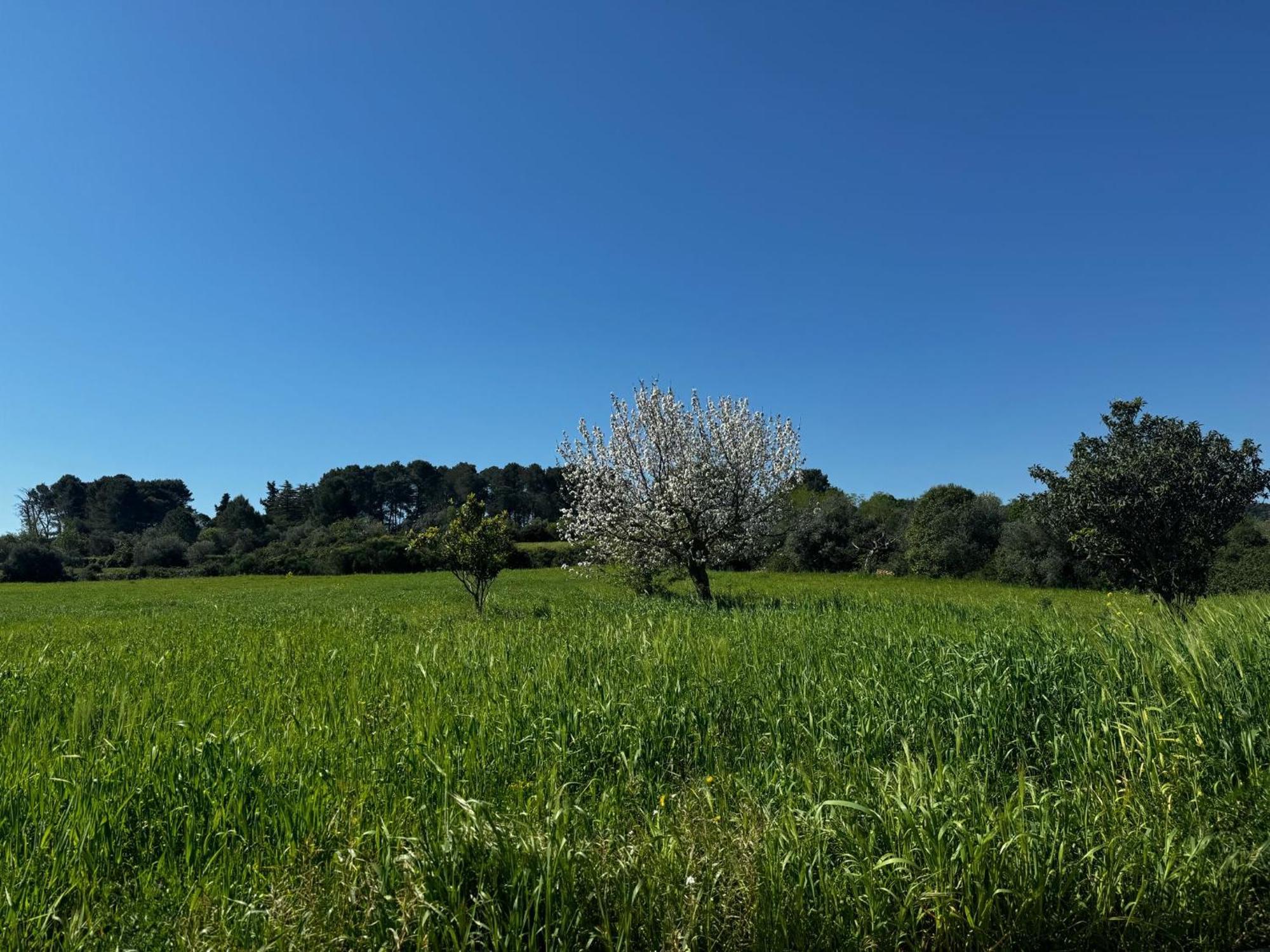 Trulli Del Sole Villa Martina Franca Ngoại thất bức ảnh